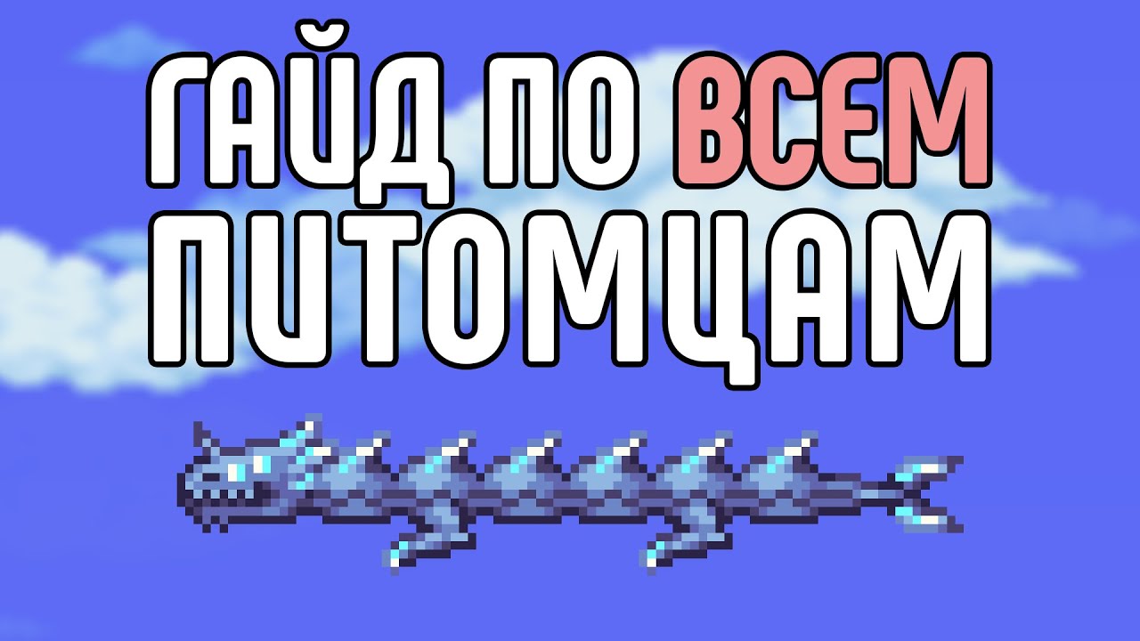 Гайд по ВСЕМ питомцам | Terraria 1.4