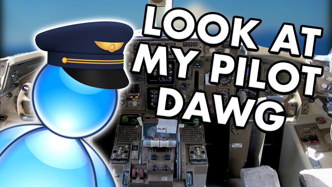 Bro Look At Our Pilot, We're Going Down