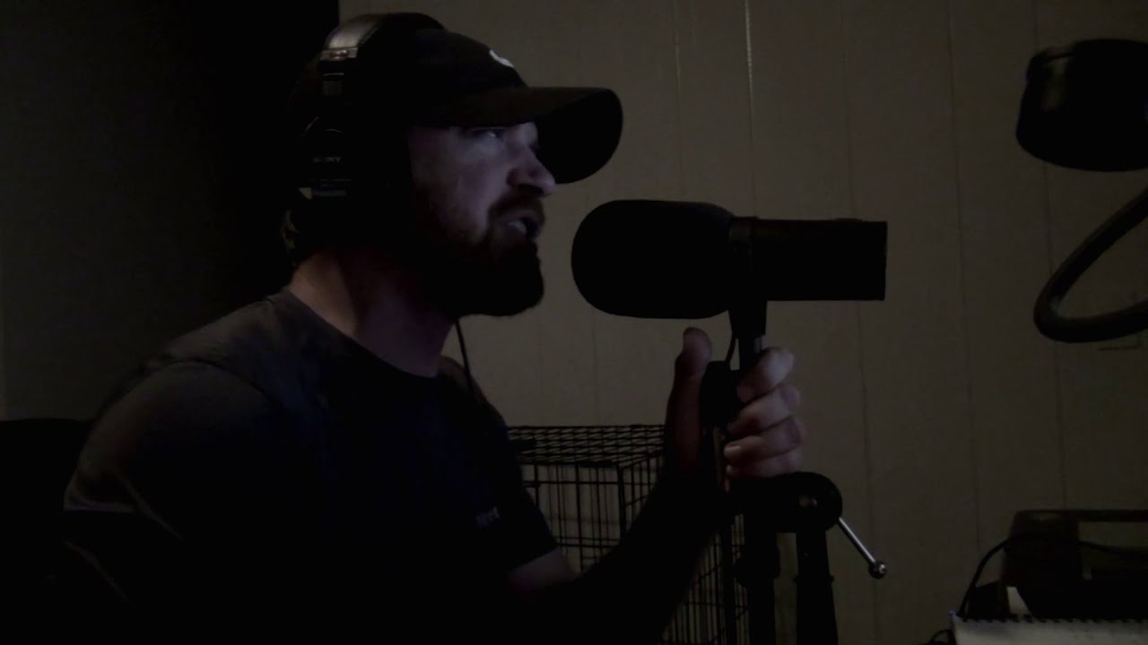 The Neologist - Amendment (Flaw Vocal Cover)