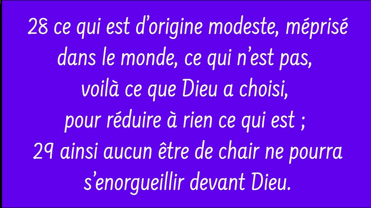 Dimanche 1er février 2026