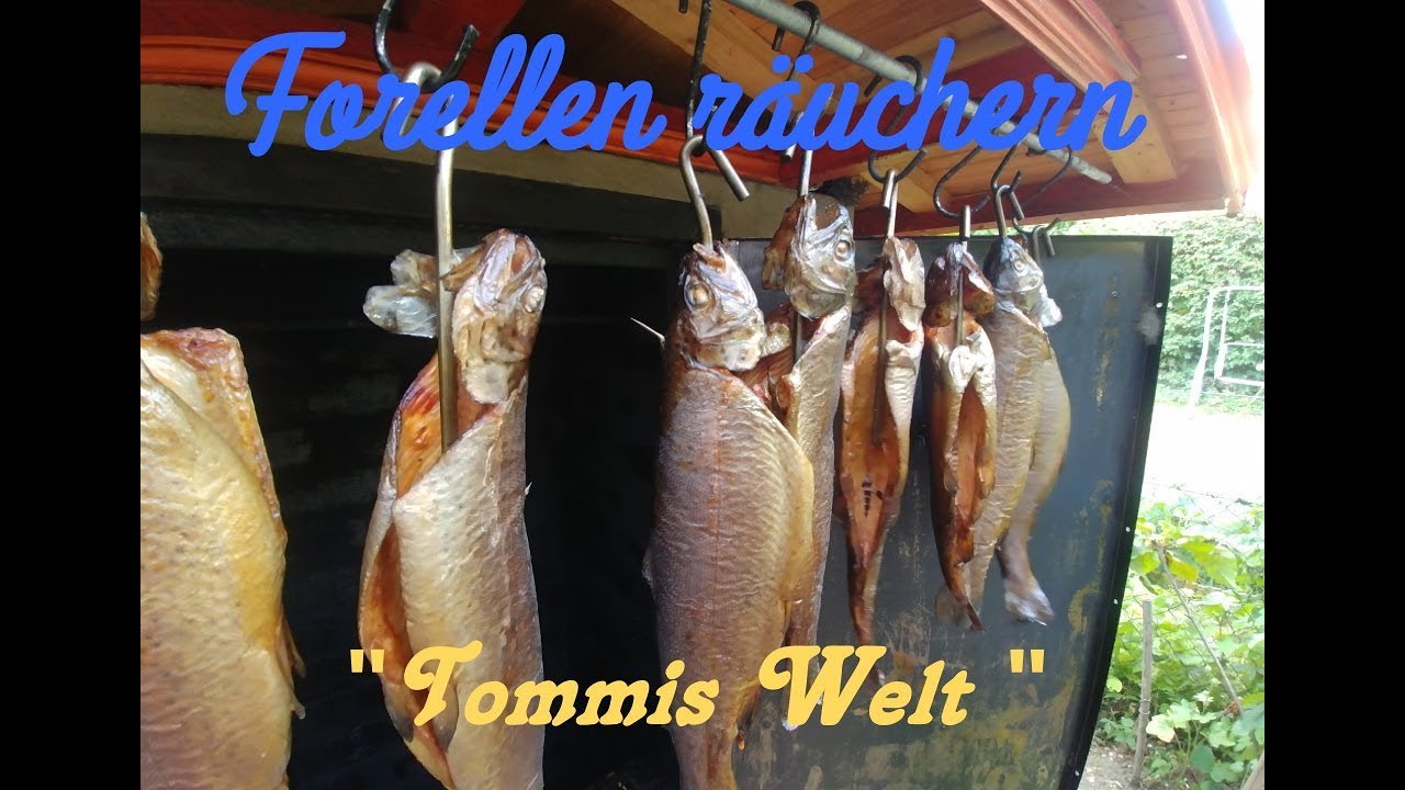 Forellen Räuchern im Steinofen