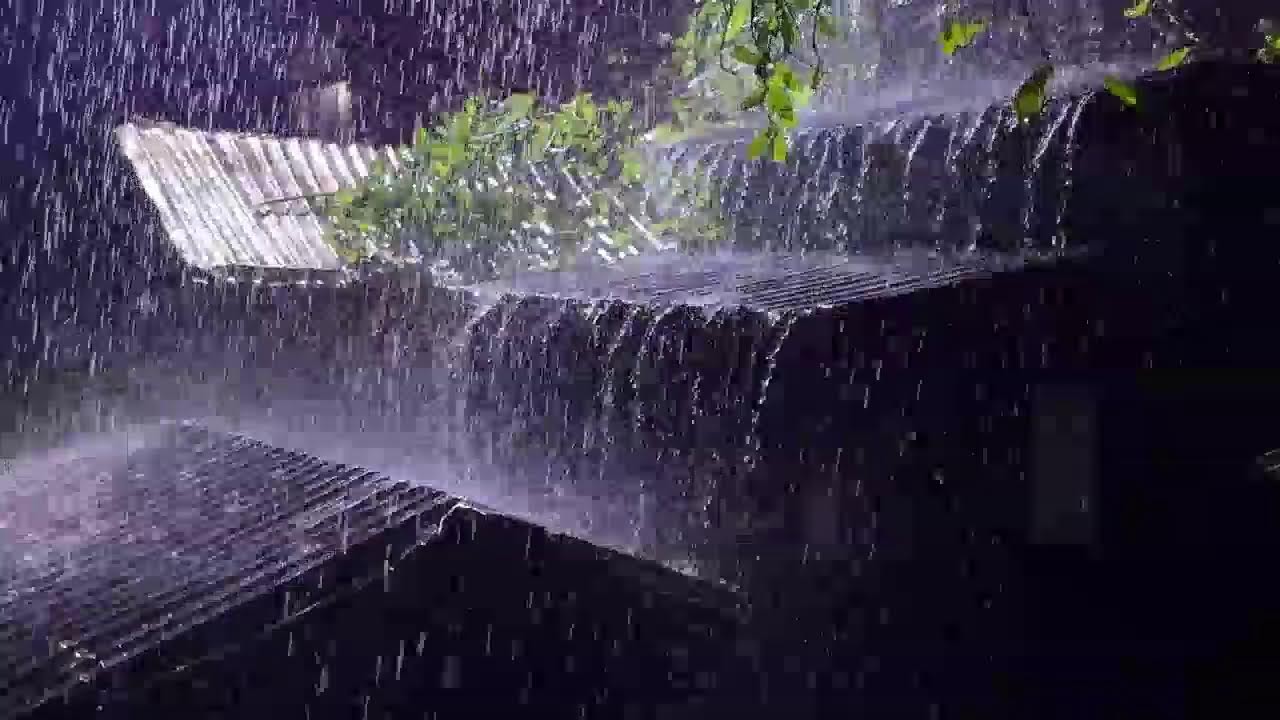 Heavy Rain on Tin Roof at Night | Relaxing Rain Sounds for Deep Sleep (No Thunder)