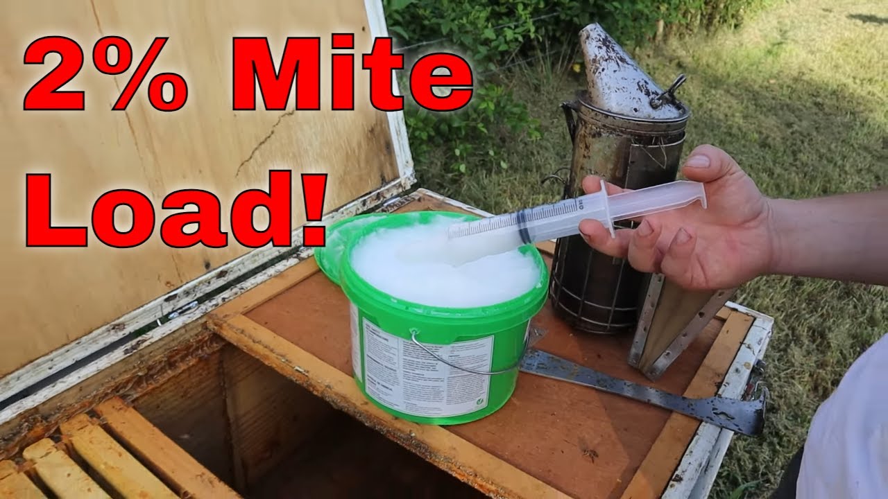 🔵Dangerous Mite Levels! August work = Springtime '23 Honey!!!