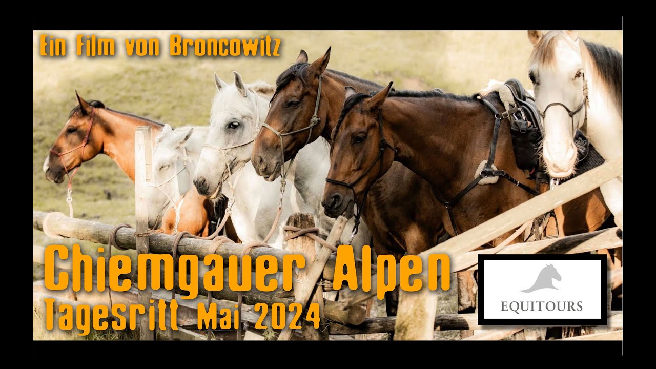 Tages-Alpenritt Chiemgauer Alpen
