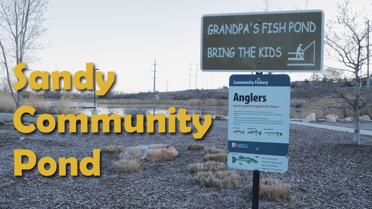 Fly Fishing at Sandy Community Pond - Utah Community Fishery