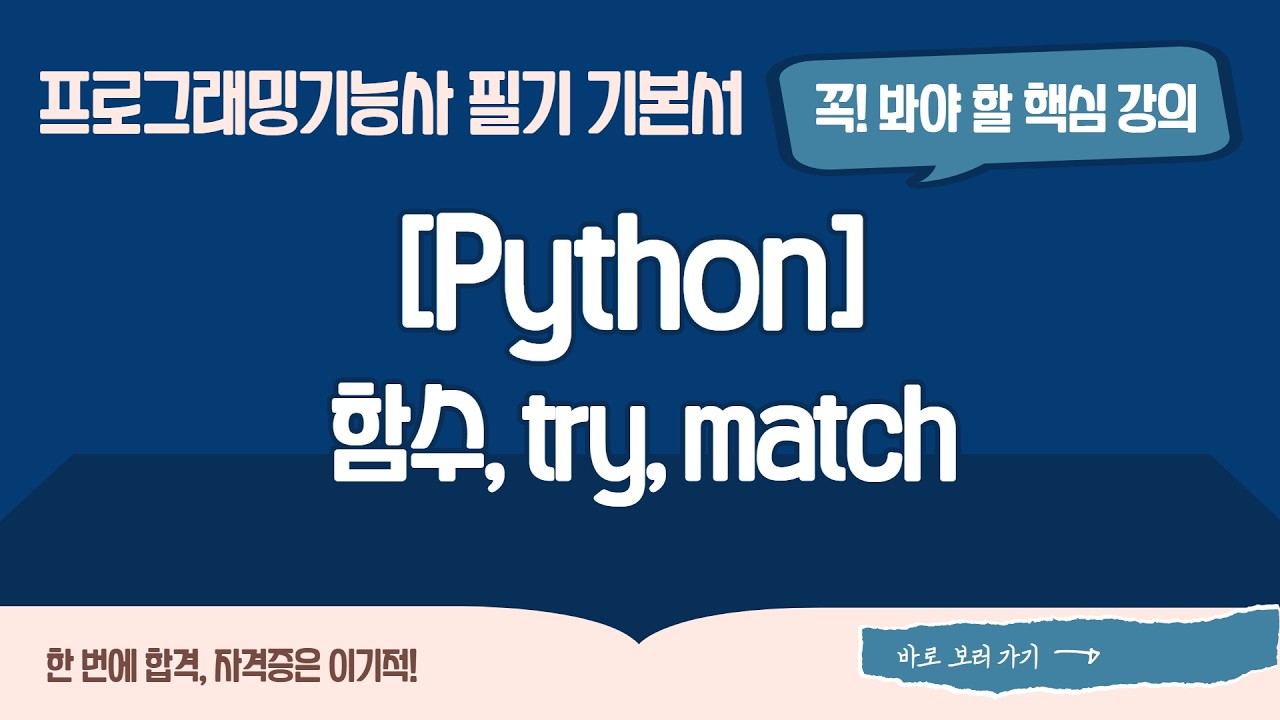 [프로그래밍기능사 필기] [01-03-04] 함수, try, match