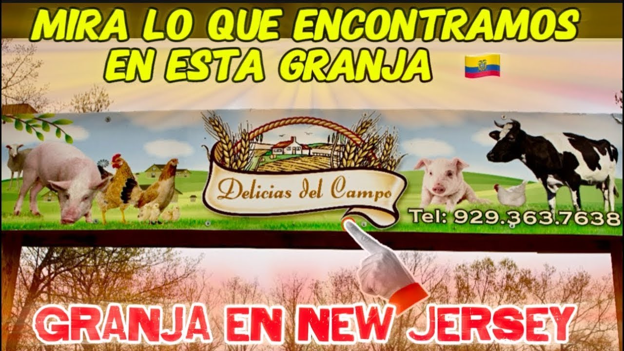 Conociendo la Granja Delicias del Campo en New Jersey 🐃 🐄