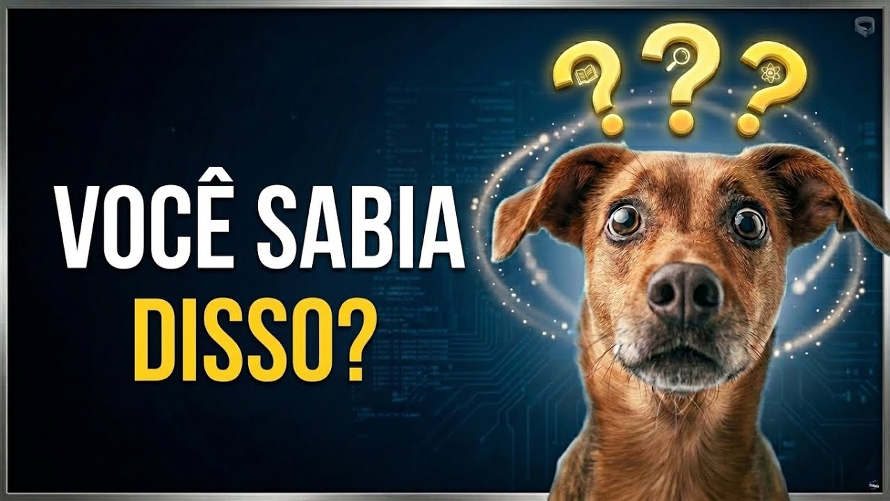 As 10 raças de cachorro que exigem MAIS cuidados