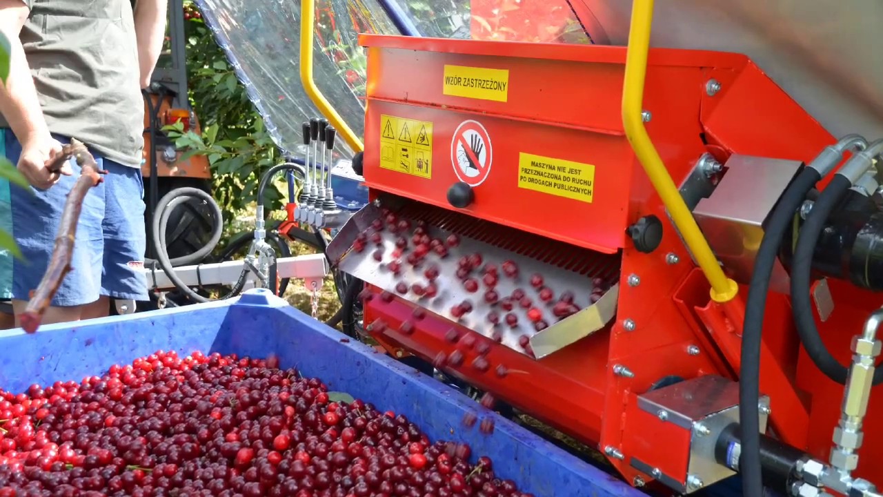 JAGODA JPS Agromachines-  Maszyny Sadownicze, Ogrodnicze i Rolnicze - Producent