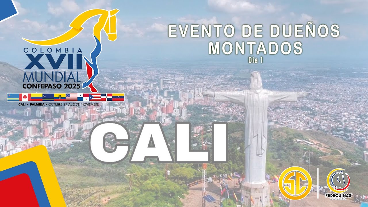 XVII MUNDIAL CONFEPASO 2025 - LOTES DE YEGUAS Y CASTRADOS DE TODAS LAS MODALIDADES /ASNALES  - DIA 3