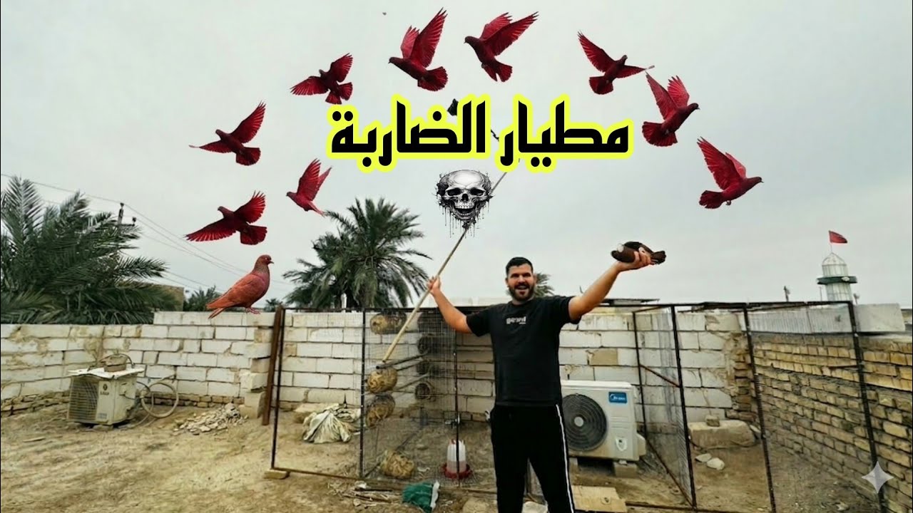 تفقيس بيض السمان / طلعنه لصيد شني صدنه😱 ??
