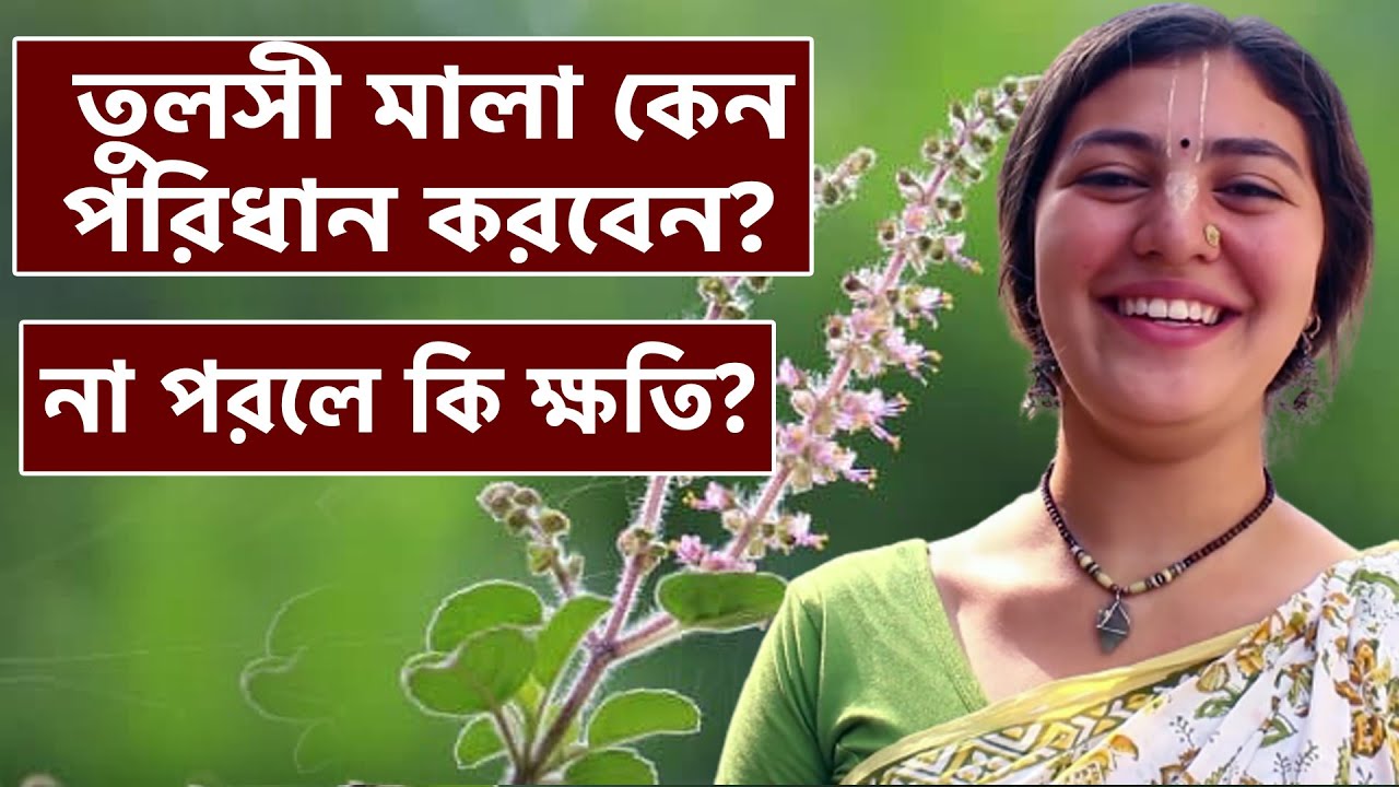 তুলসী মালা কেন পরিধান করবেন? না পরলে কি ক্ষতি?  Why The Hindus Wear Tulsi Mala as Necklace?