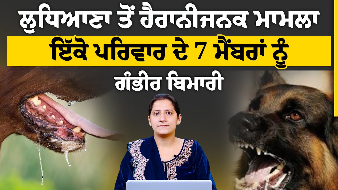 Rabies Case in Ludhiana । Street Dogs । THE KHALAS TV