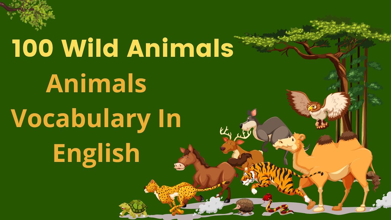 100 Wild Animals | Learn Animals Name In English With Pictures | Animals Vocabulary In English