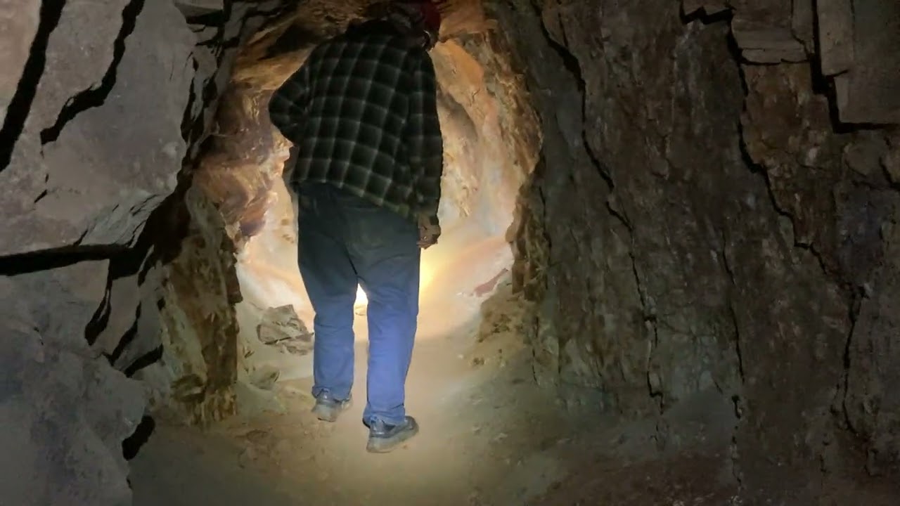 Fresh animal tracks spotted during abandoned Mine explore with Nick Jones and Maxx Wheeler on 1/9/26