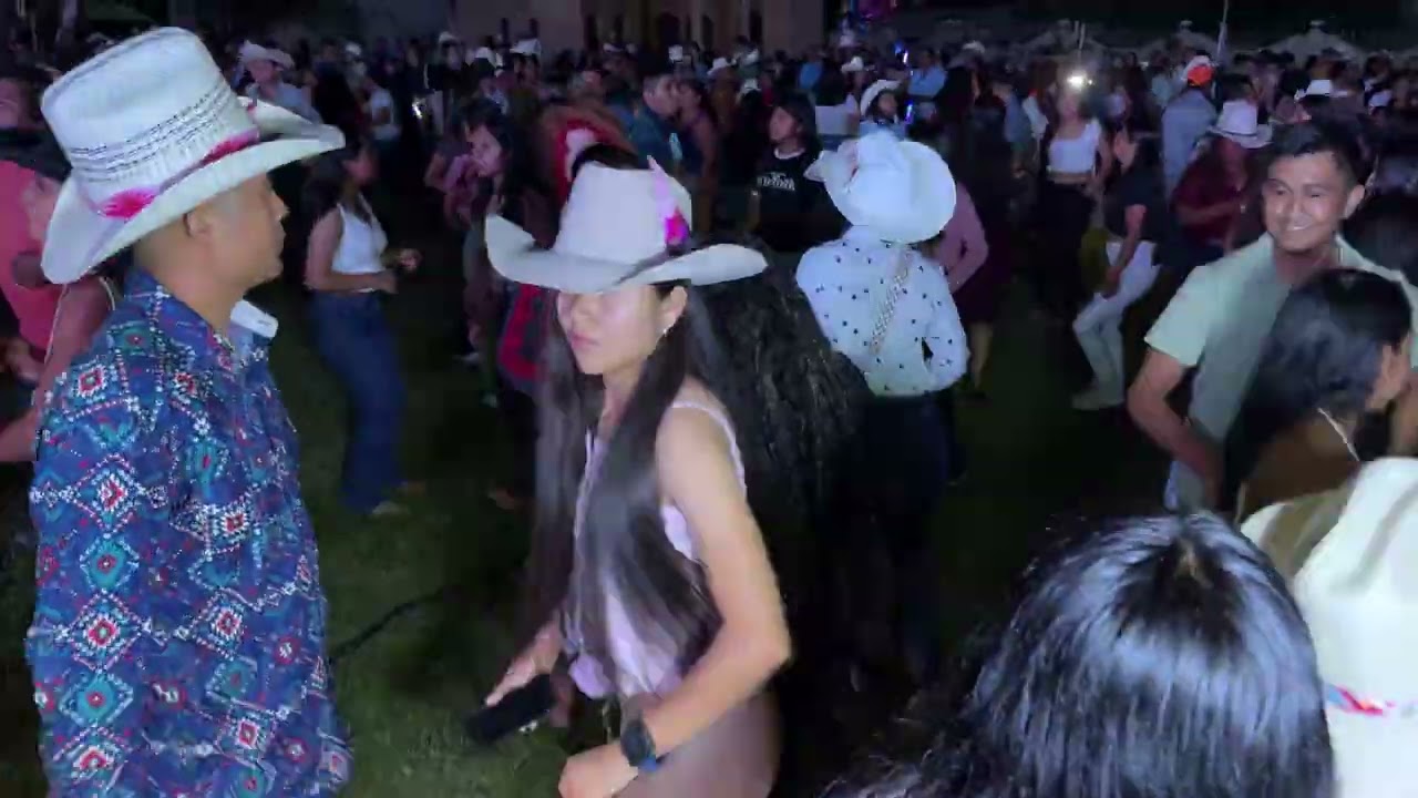 Baile en Honor al Sr. de la Salud en Tlaxcalixtlahuaca Gro. 2026 VIDEO 6