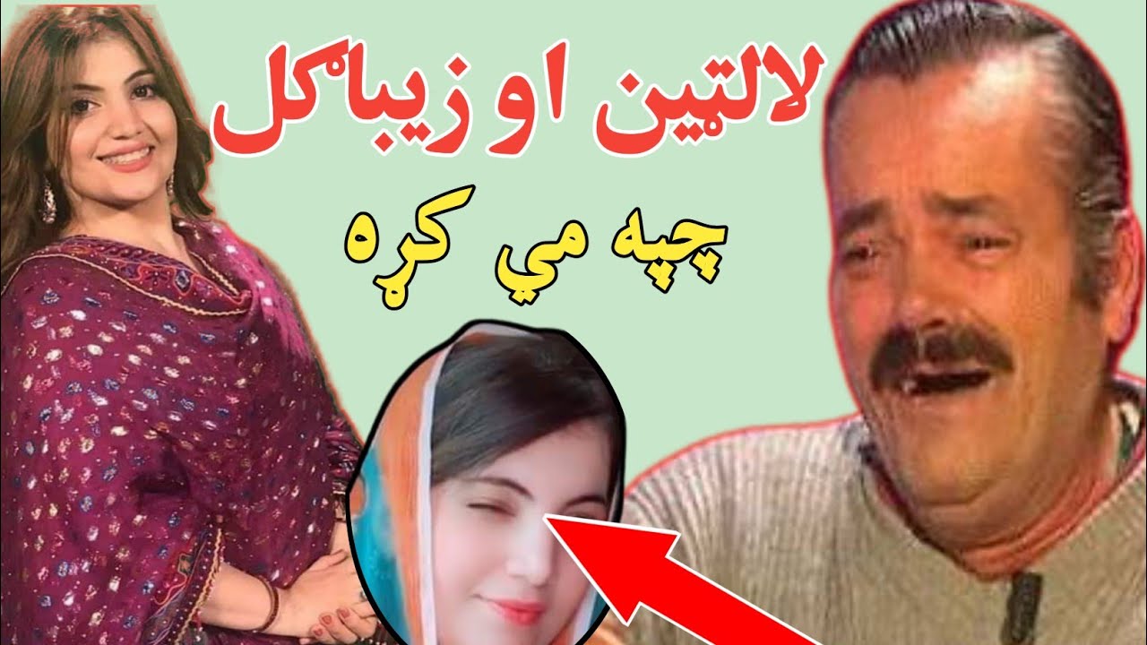Latain Mama Nan Zeba Gull Chapa Kra | Ziba Gul Roasting new video | Tiger dubbing #Zibagull