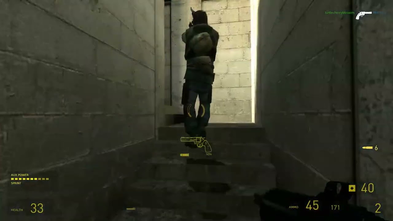 HL2 coop 2