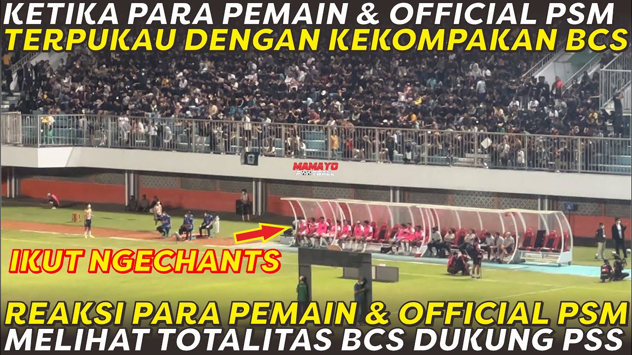 IKUT NGECHANTS🔥 MOMEN SAAT PARA PEMAIN & OFFICIAL PSM TERPUKAU DENGAN KEKOMPAKAN BCS SAAT DUKUNG PSS