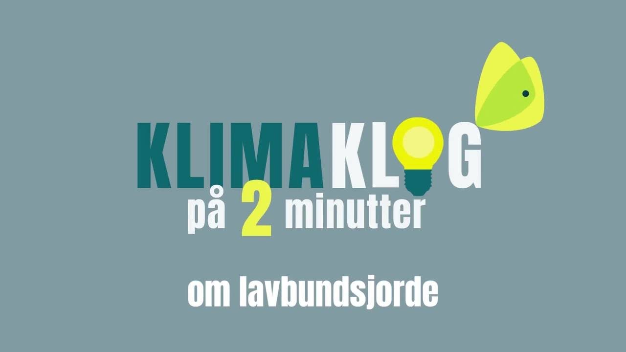 Hvad er lavbundsjord? Og hvorfor er de gode for klimaet?