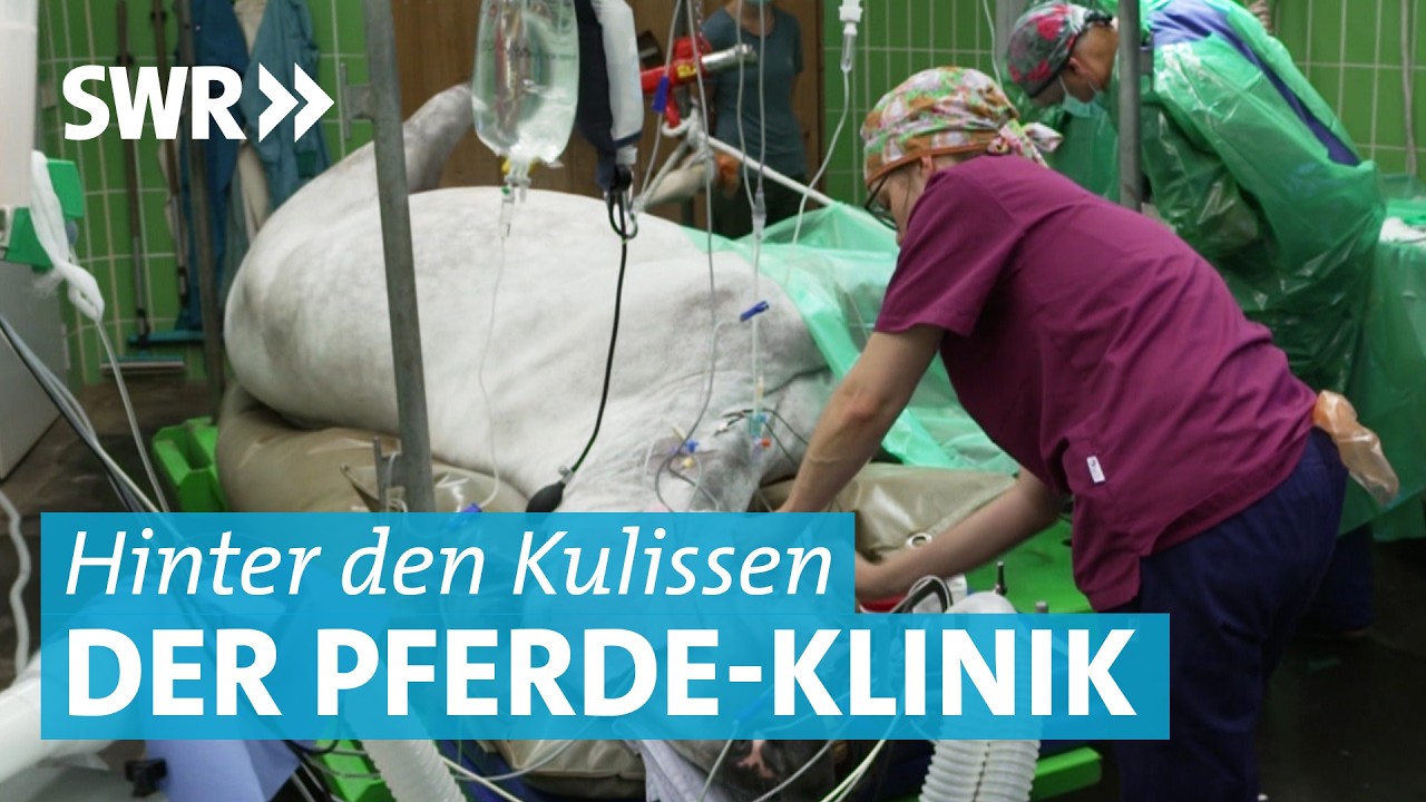 Pferdekolik, Beinbruch und Einschläferung: Unterwegs mit den Tierärzten der Pferdeklinik
