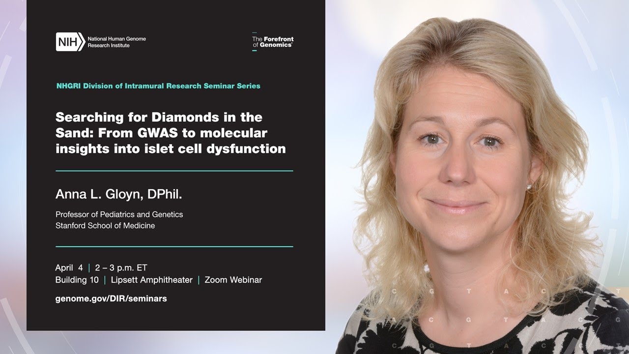 NHGRI DIR Seminar Series - Anna Gloyn