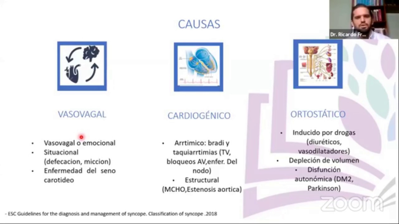 Síncope: diagnóstico clínico, diferencial y tratamiento.