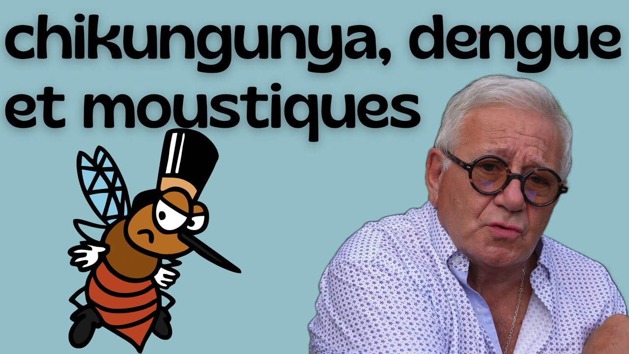 Chikungunya et dengue. Les piqûres de moustiques et les répulsifs.