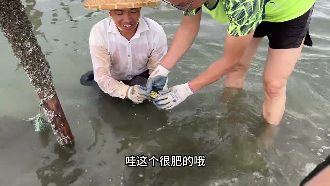 番禺冯大哥和家人过来玩，小池带去一片大海滩，赶海抓螃蟹超开心