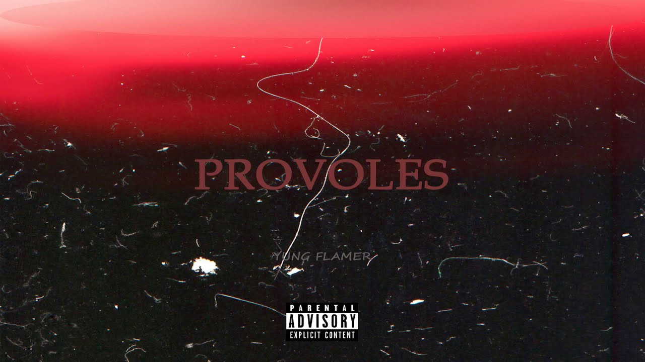 Yung Flamer - Provoles (Official Audio Release)
