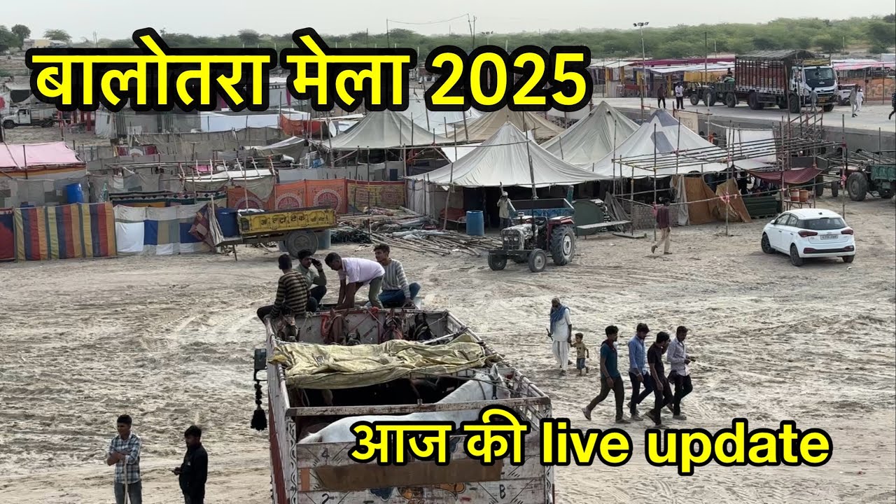 Balotra horse mela 2025 ho gya shuru live update | balotra horse market 2025 time table
