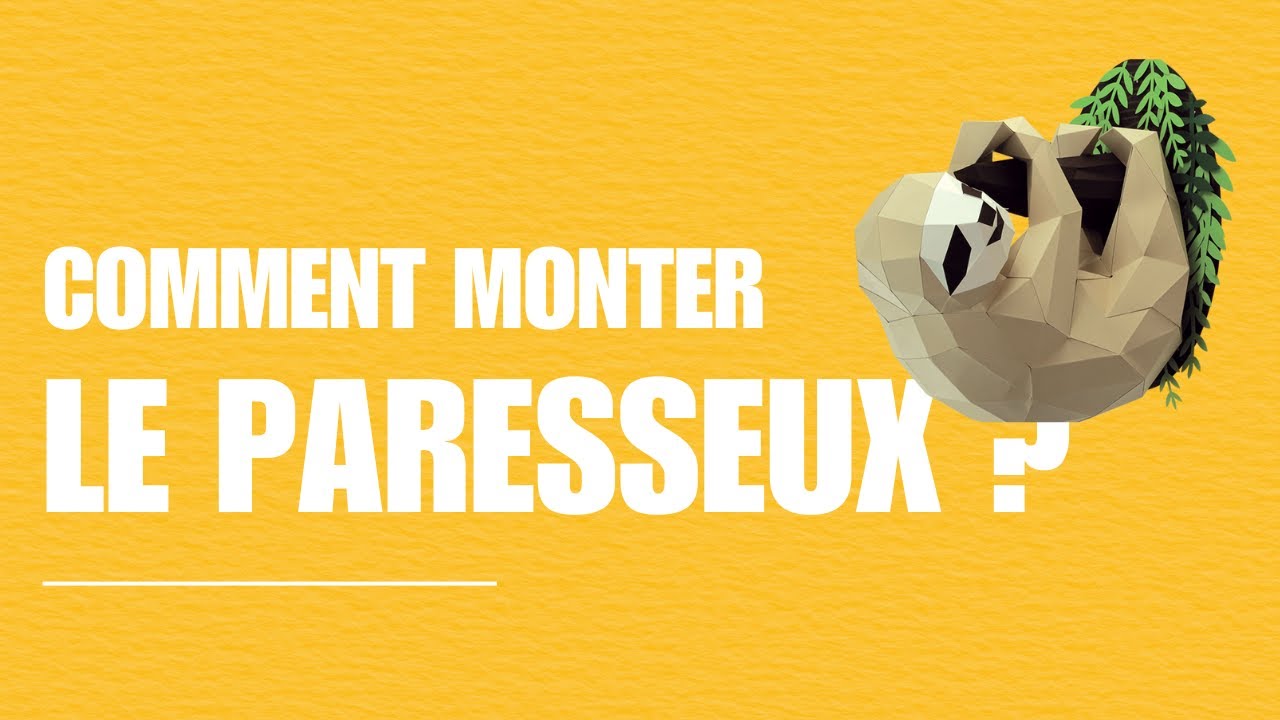Montage du paresseux