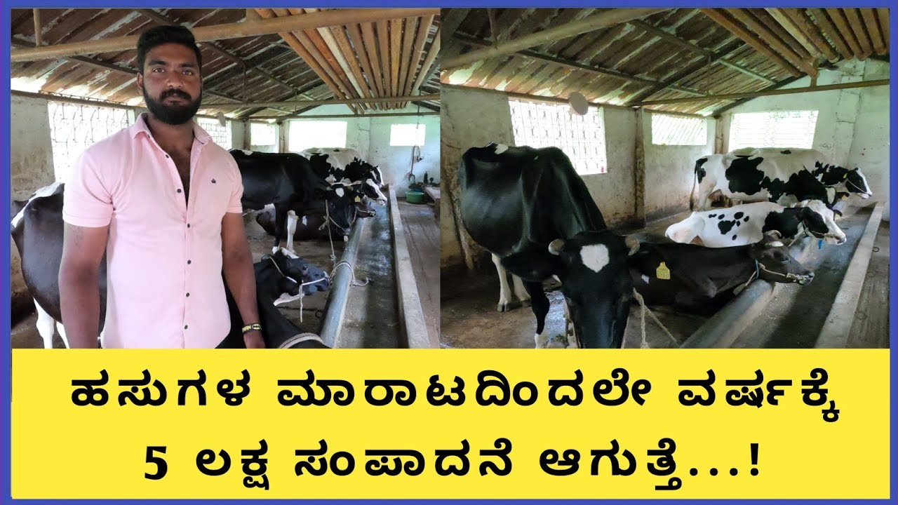 ಹೈನುಗಾರಿಕೆಯಲ್ಲಿ ಹಾಲಿನಿಂದಲೂ ಕೂಡ ಲಾಭ ಹಾಗೂ ಹಸುಗಳ ಮಾರಾಟದಿಂದಲೂ ಲಾಭ ತೋಟಕ್ಕೆ ಉತ್ತಮ ಗೊಬ್ಬರ ಕೂಡ ಸಿಗುತ್ತದೆ...!