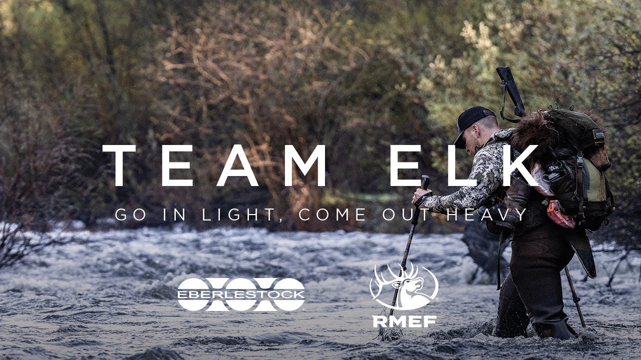Представляем совершенно новую модель TEAM ELK