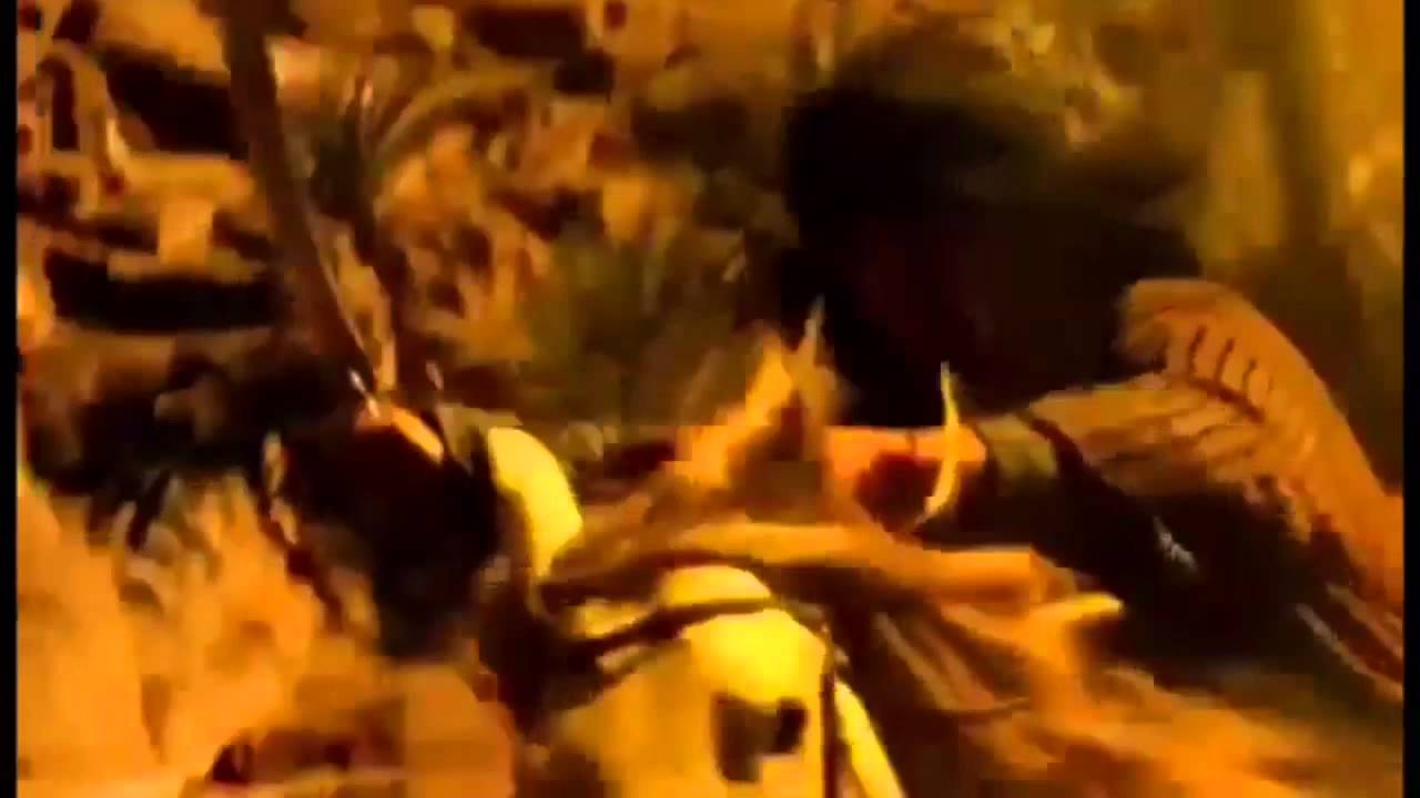 مصيبيح بن فهد بن عيده يثني على ناصر بن خليل ال شهوان ويشيد بمواقفه المشرّفه. اداء حسين ال لبيد