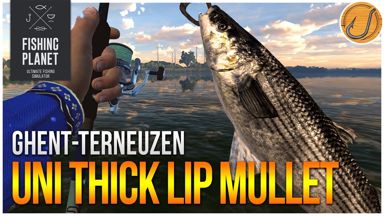 Unique Thicklip Grey Mullet of Ghent-Terneuzen Canal! | (Fishing Planet: Test Your Spot Series!)