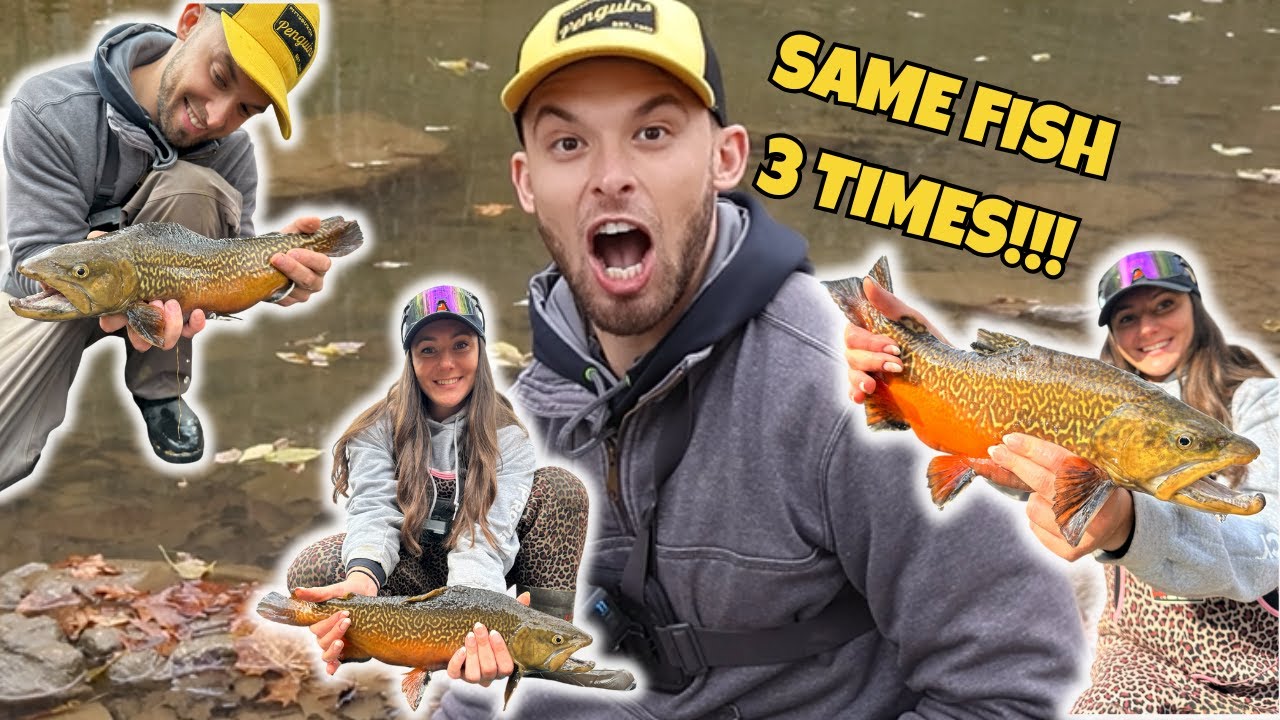 We Caught the SAME TIGER TROUT 3 TIMES in 3 hours