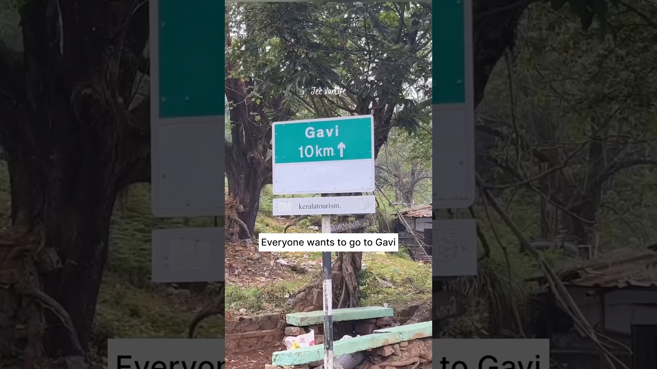 Gavi കാണണ്ടതല്ലാം | Gavi Pathanamthitta | Longest ksrtc Forest Route | #gavi #ksrtc @Jee_vanlife