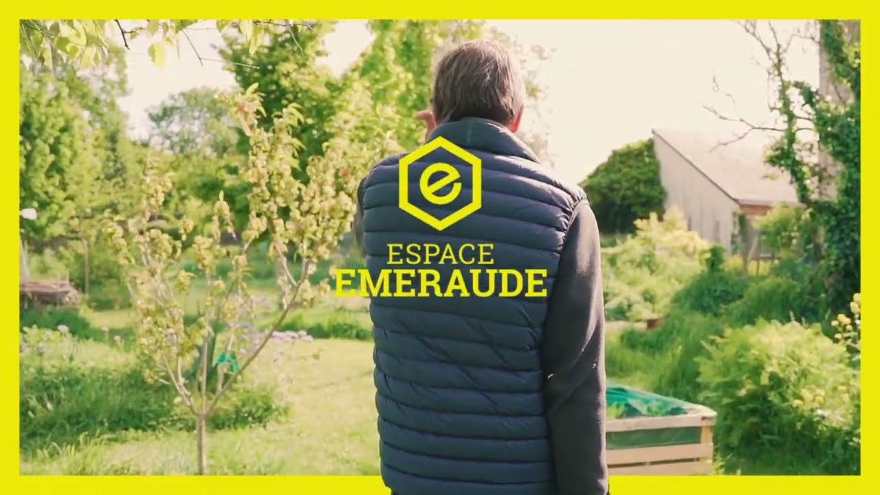 L'été, 5 règles pour arroser son jardin !
