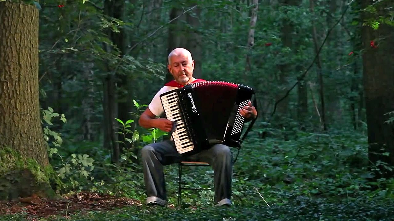 Yann Tiersen - Valse des Monstres - French accordion music - Acordeon - Akkordeonmusik-Akordeon