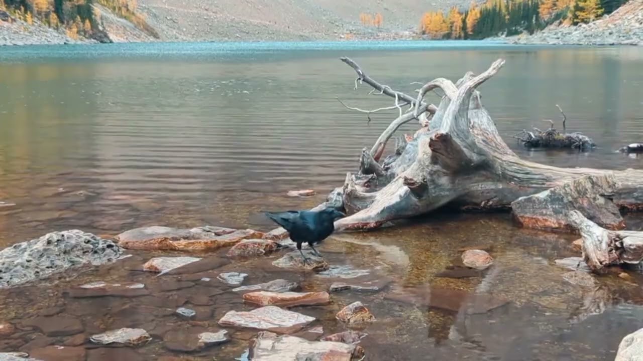 Banff, Lake Moraine, lake Louise & Little Beehive Canada
