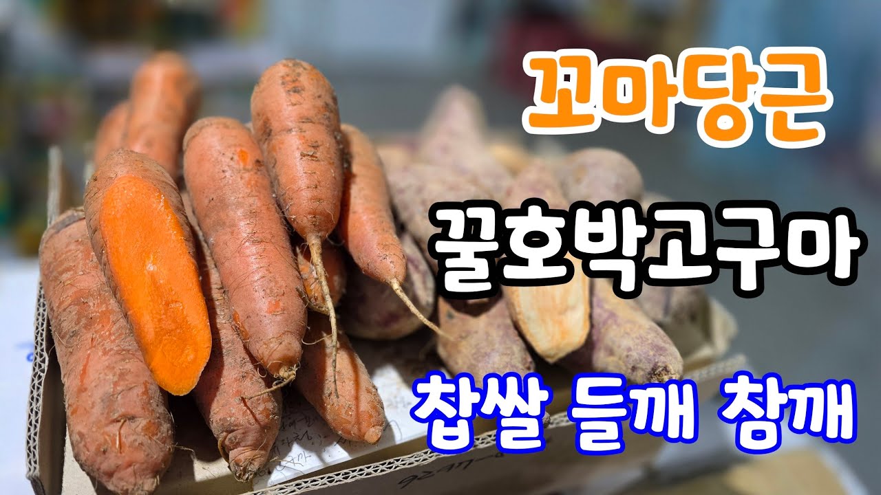 꼬마당근, 붂은 서리태콩가루 찹쌀 들깨 참깨