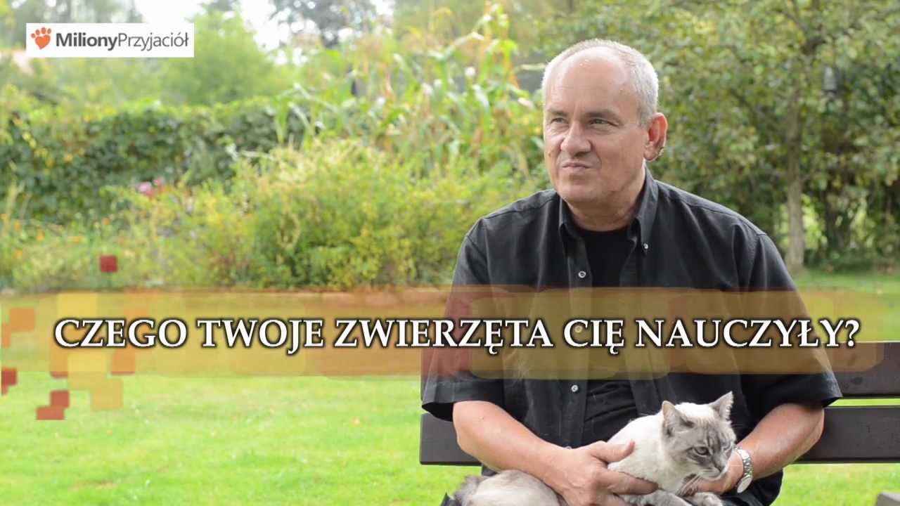 7 pytań do przyjaci&oacute;ł -  Michał Olszański