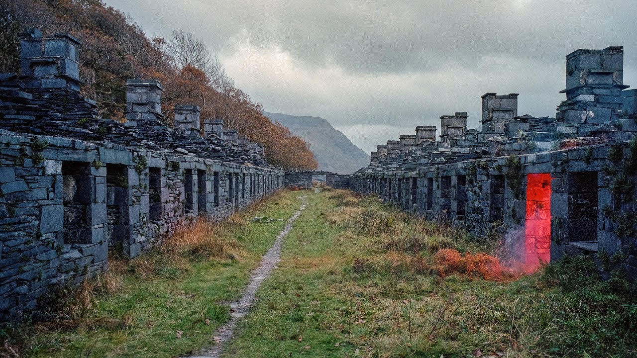 Bibio CAPEL CELYN