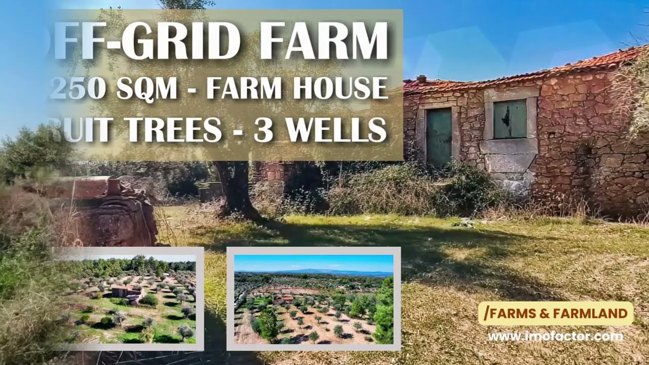 🔆 Off Grid Farm - [Farmhouse & Renovation Potential] | 9250 m² - Central Portugal | Sold