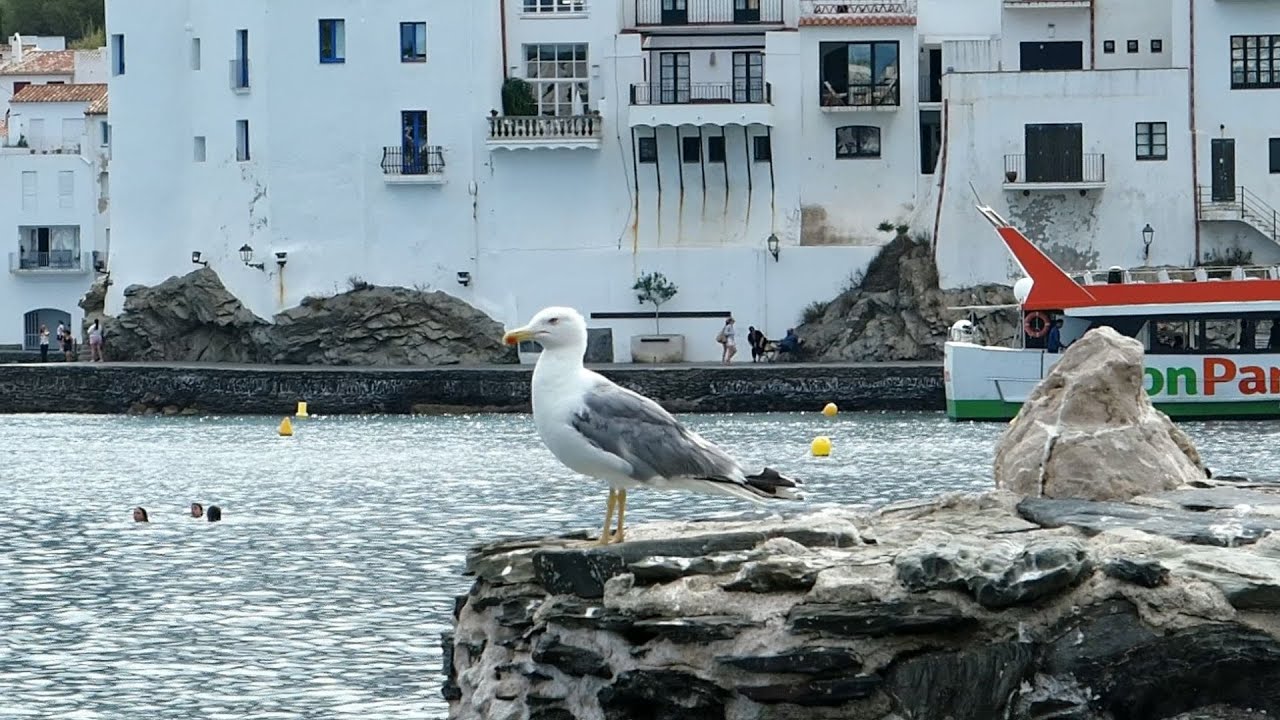 6 minutes d'Espagne