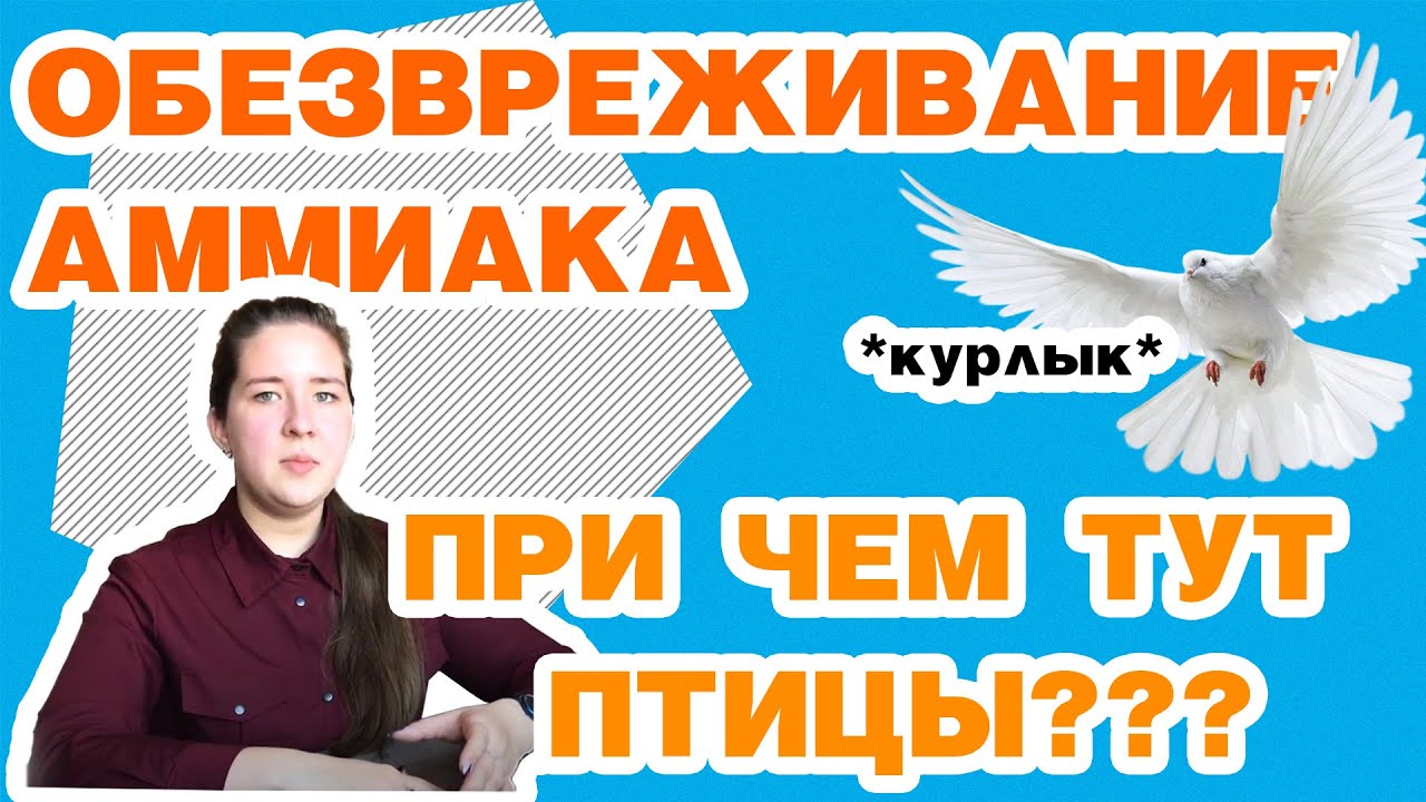 Аммиак, орнитиновый цикл