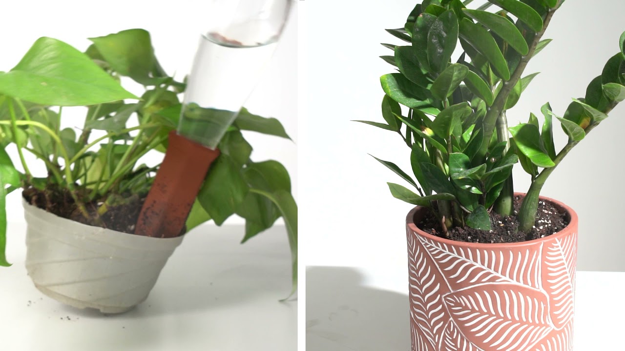 Potey Terracotta Watering Spikes for Plants