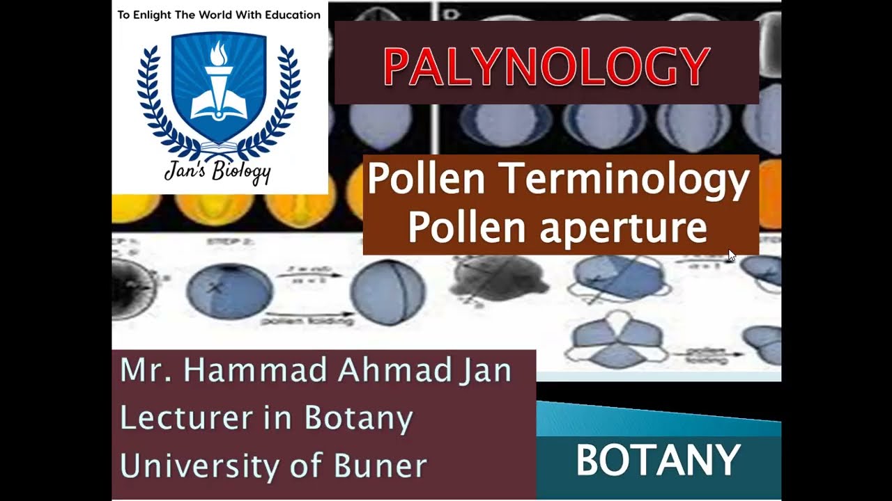 Pollen Apertures Explained | Plant Palynology, Pollen Morphology, BS/MS/PhD Botany
