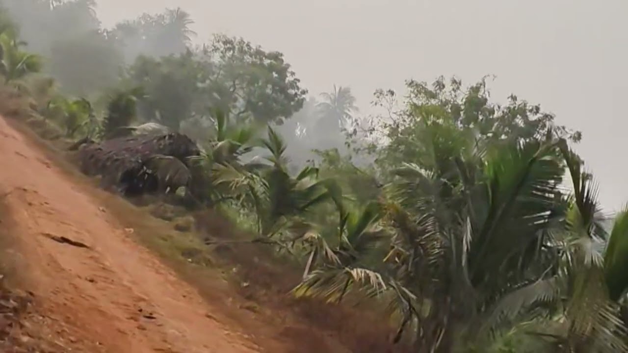 Beautiful village ❤️| village nature |nature lovers 😍| video #Active Spirit Vibes 